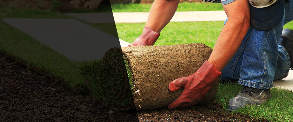 Enterprise Landscapers